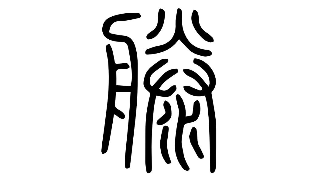 滕殷罗毕姓氏排名,文兴书舍