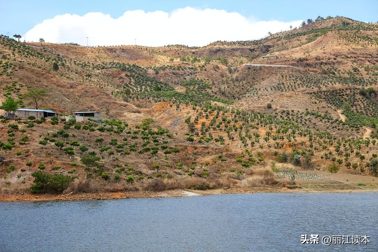 调查赚钱,调查问卷赚钱项目