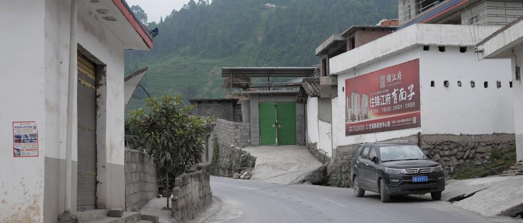 我要把拉马拍成阿甘