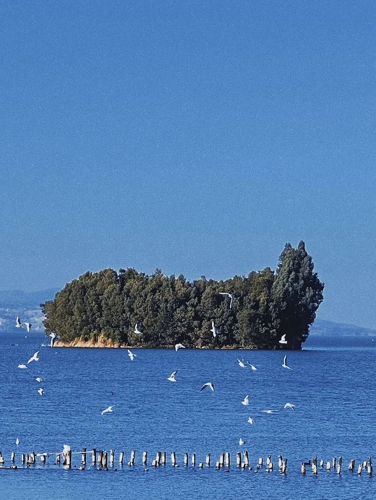 迈开脚步看风景别辜负昆明好风光,带你看云南昆明美景