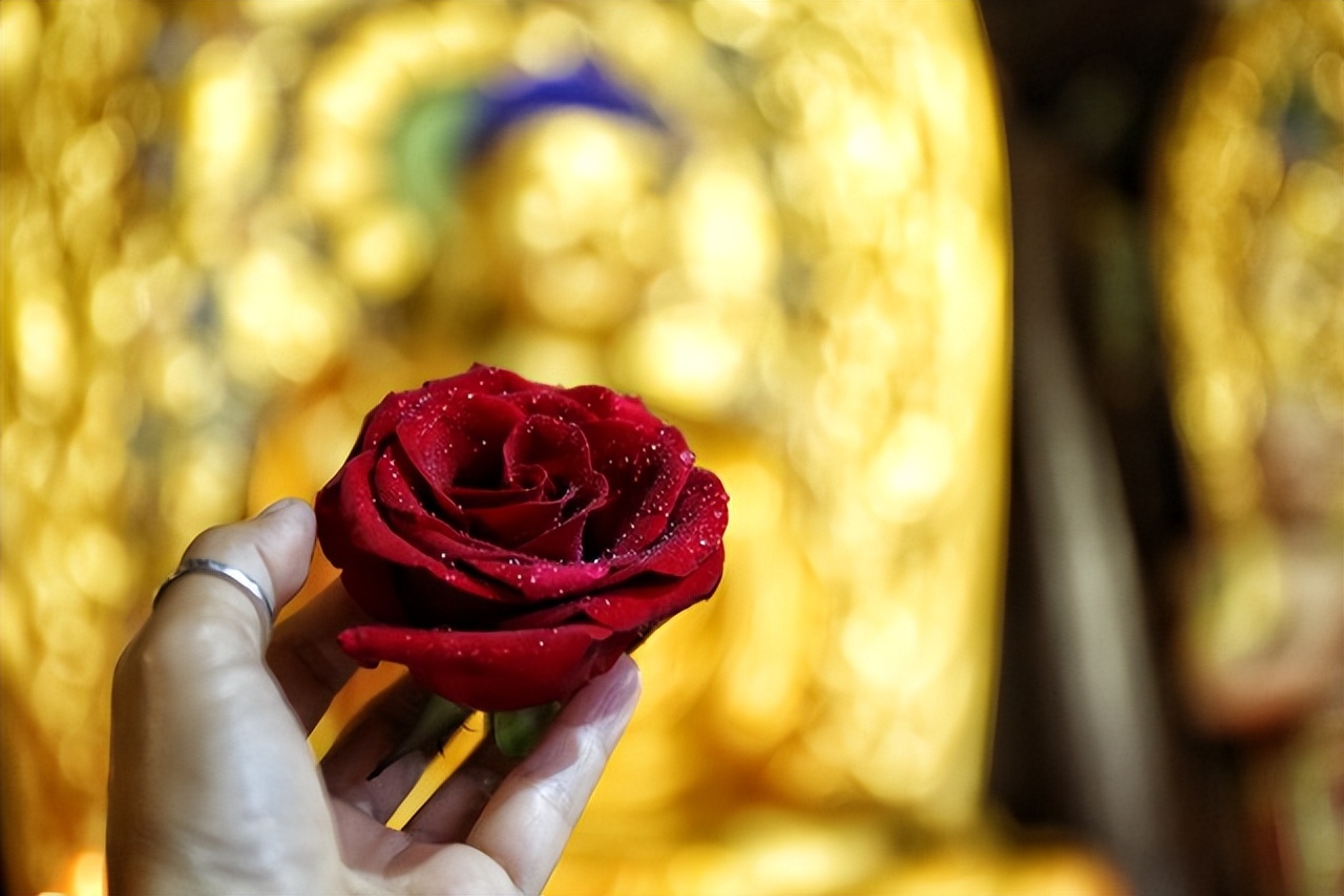 佛系爱情语录,佛系语录爱情短句