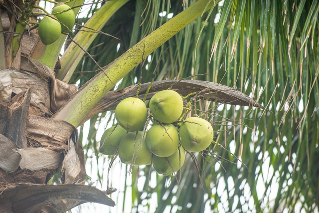 大美海口旅游,玩转海南岛
