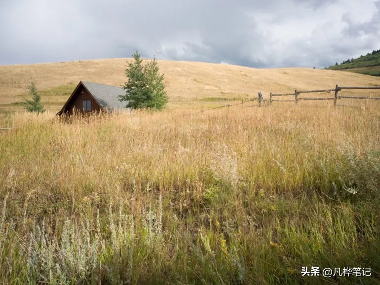 哈苏x2d100c视频,哈苏x2d100c与50c区别