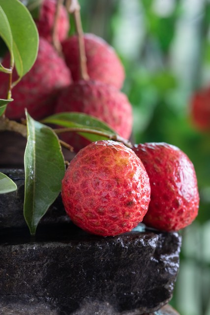 从化荔枝园采摘攻略,从化冬季旅游好去处