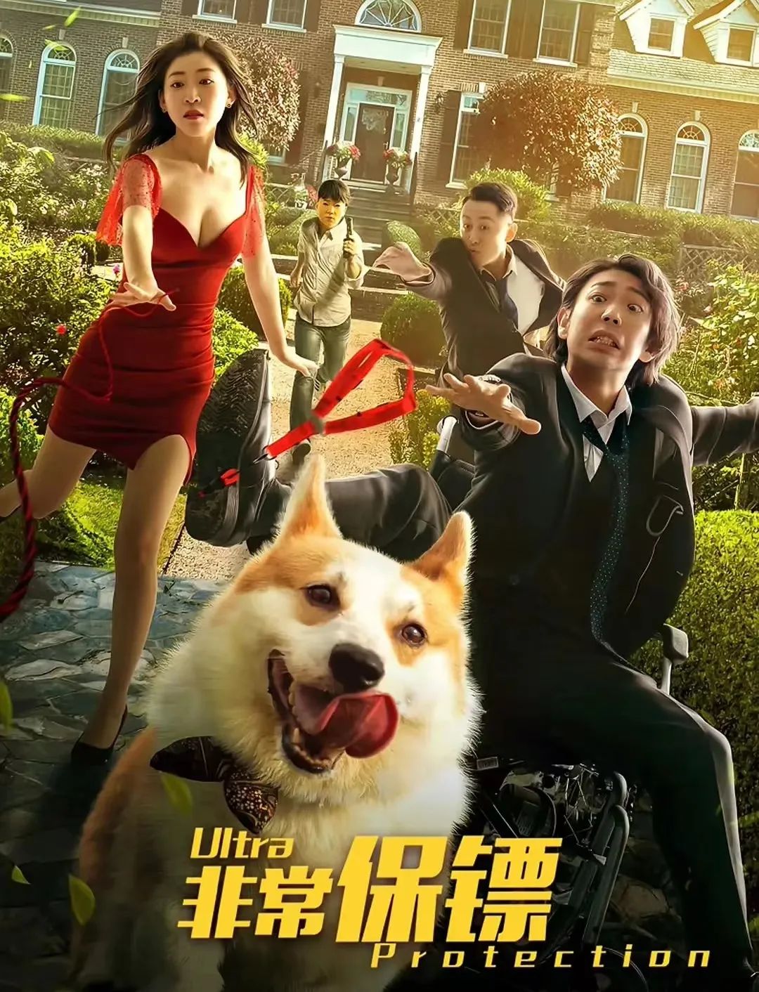 十大网络高分电影,2020高分悬疑网络电影