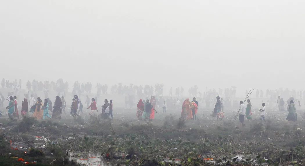 印度吹阵风,印度吹过的牛