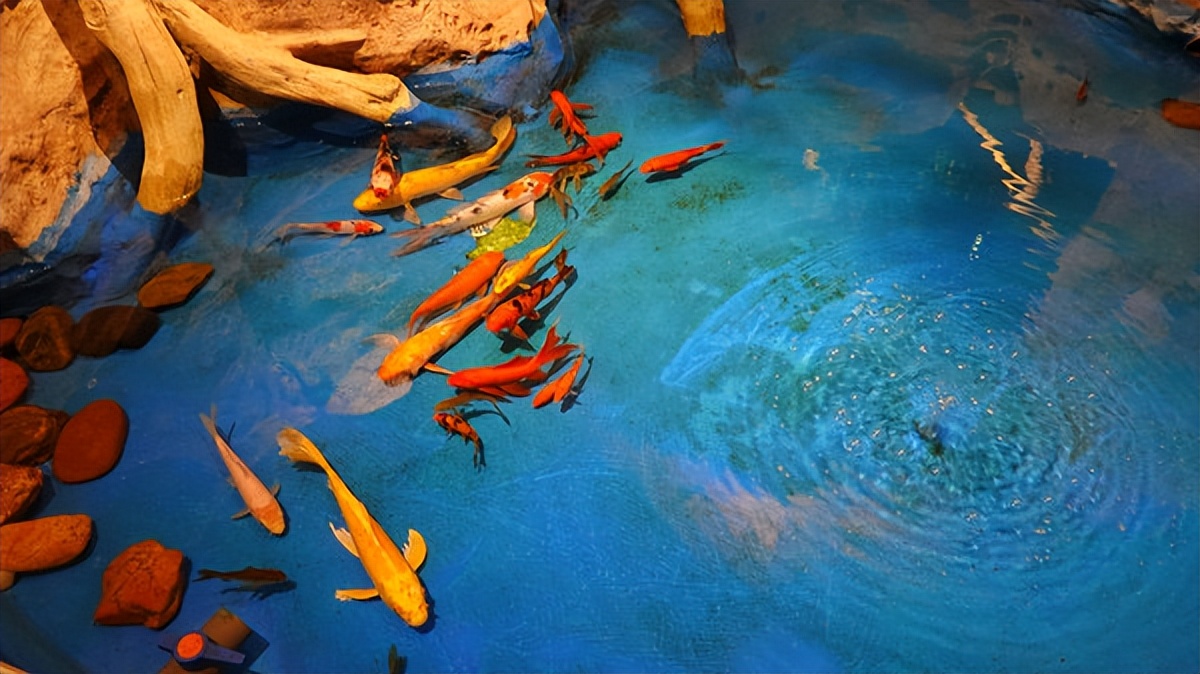 在江苏的“绿林仙海”中，寻找侠气与柔情