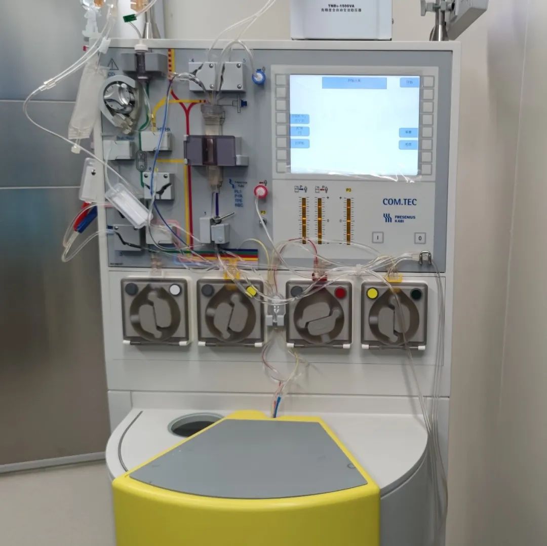 伤口溃脓可以自愈吗,溃烂化脓的伤口怎么愈合快