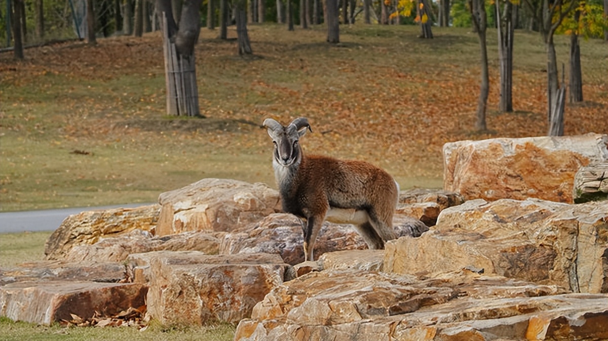 在江苏的“绿林仙海”中，寻找侠气与柔情