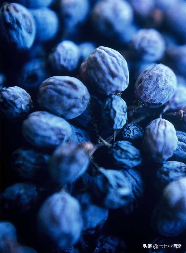 阿玛罗尼红酒值得拥有吗,意大利最具代表性的红酒