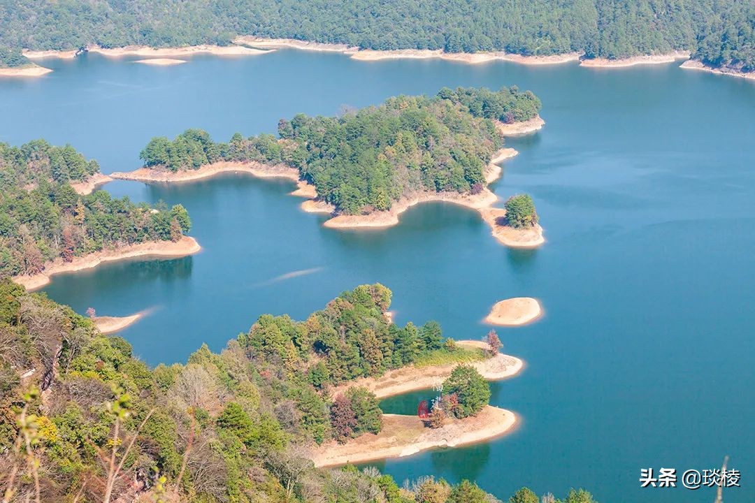 一座鲜为人知的公园,最冷门的森林公园