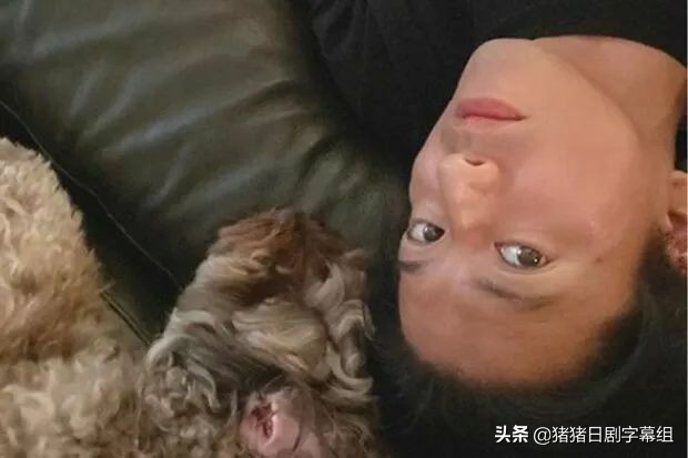 木村拓哉的宠物叫什么,木村拓哉最早的狗狗名字