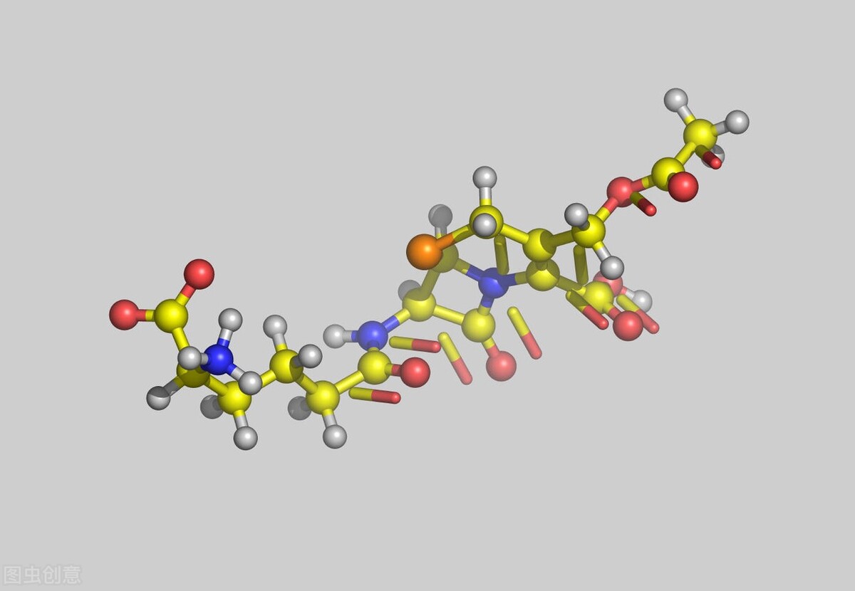 十六种头孢菌素各不同，给药说明请收好
