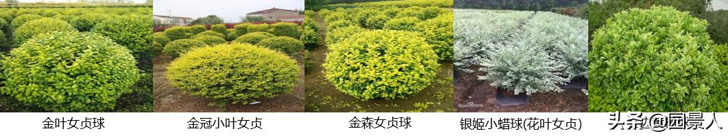 标杆房企园林景观工序,最新热销地产项目景观设计全解密