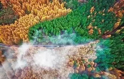 7-8月适合旅游的最佳地方最新,9月旅行地推荐国内最美的10个地方