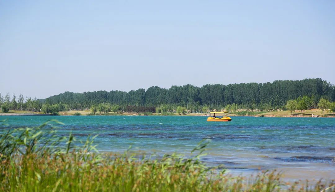 济南春季踏青免费景区,济南踏青的免费好去处腊山河公园