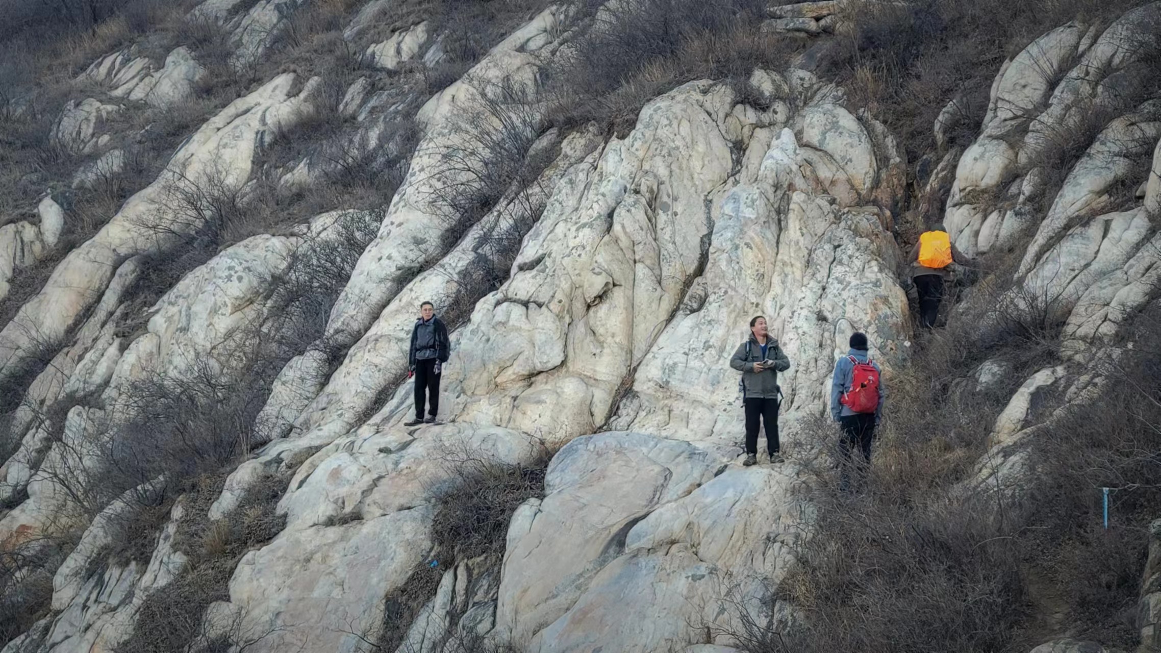 郑州跨年2024跨年活动地址,郑州元旦去哪跨年