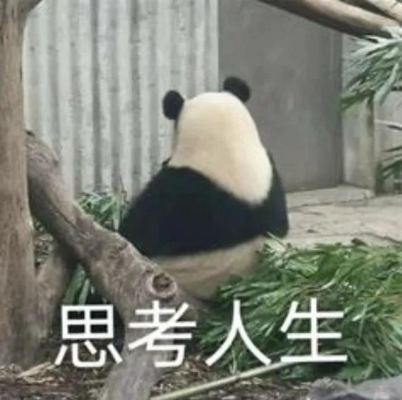 从“卡到黑屏”到“纵享丝滑”国产ToDesk黑科技让旧手机秒变新机