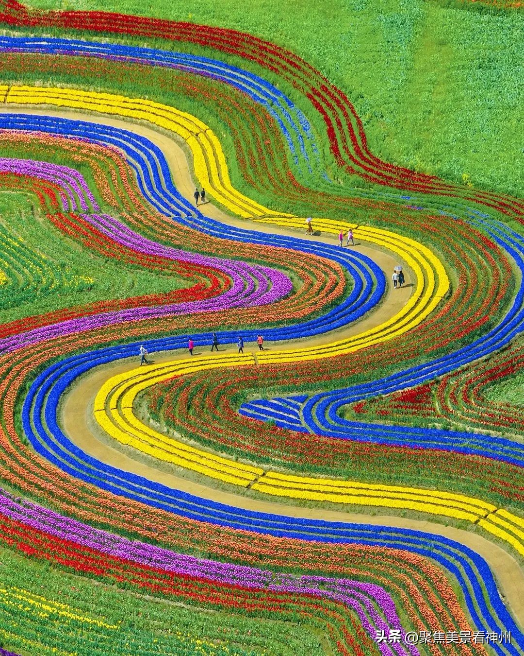 摄影镜头中的大地，既是油画也是梦境