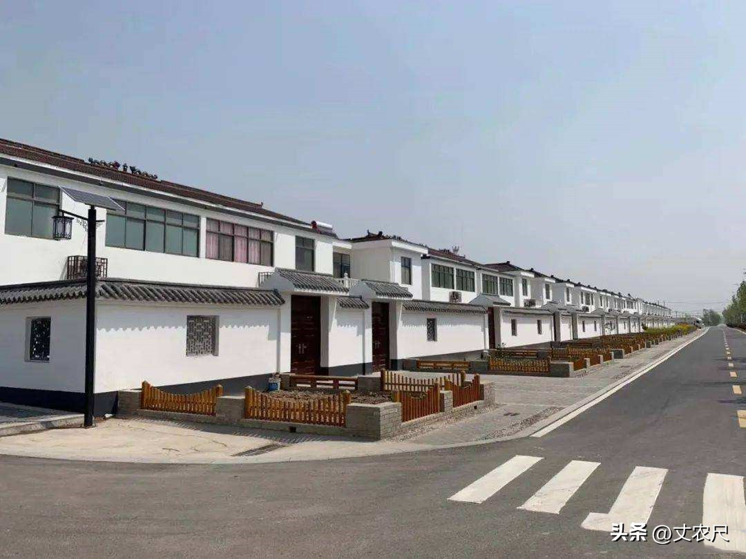 未来5年的农村前景,未来5年农村前景