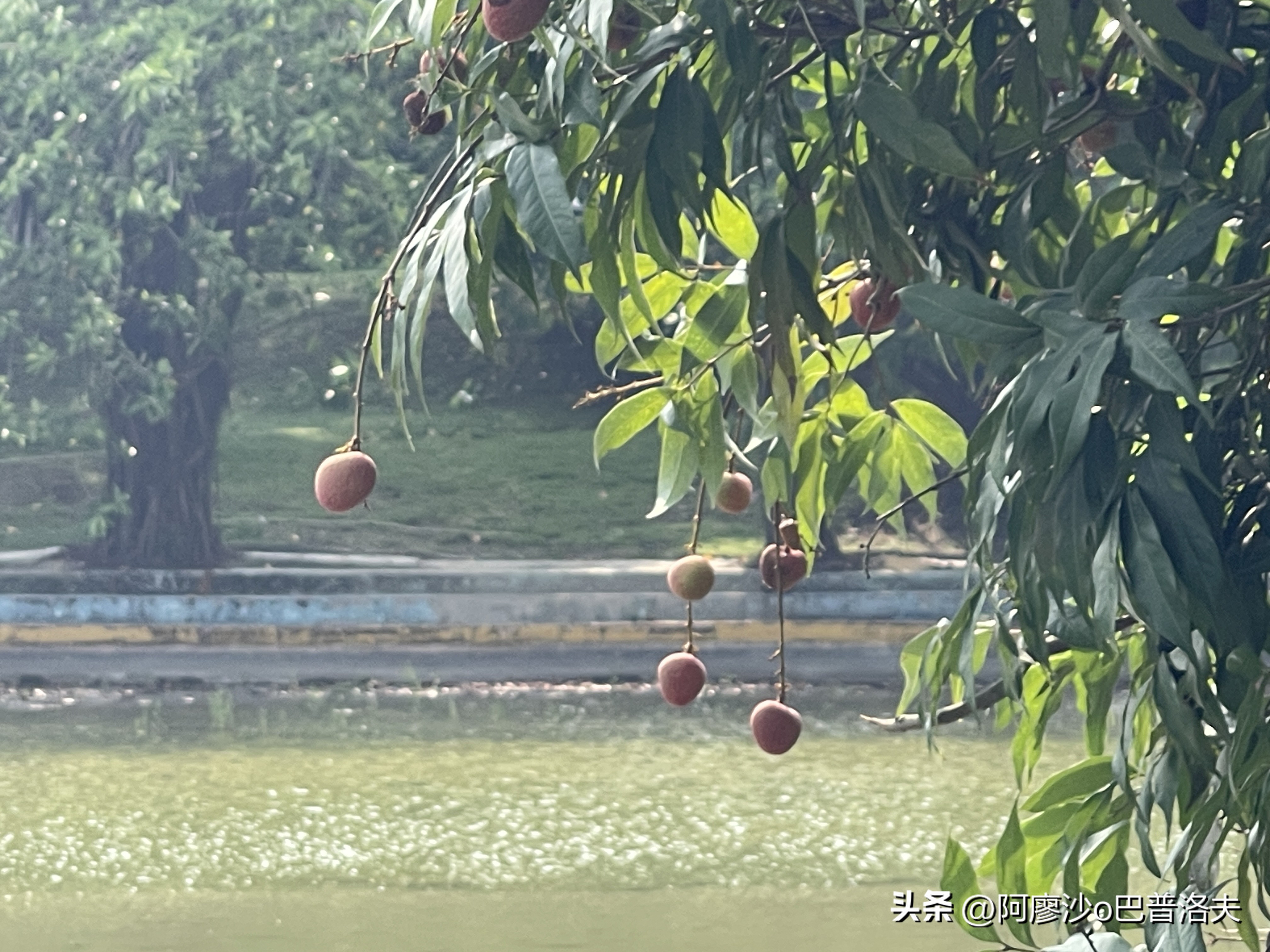 苹果12pm拍摄视频比12更好吗,佳能550d和iphone14拍摄对比