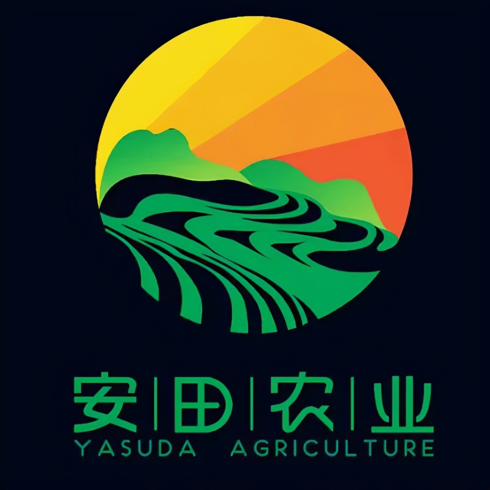 林善春：品牌让你走多远，你就能走多远|闽商封面人物