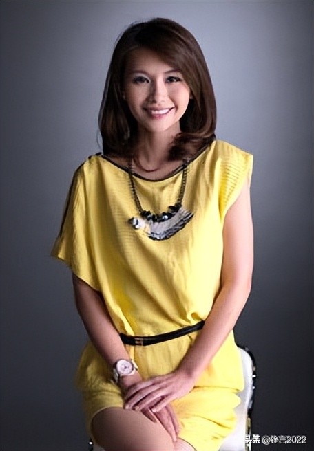 锵锵三人行主要嘉宾排序,锵锵三人行印象最深的嘉宾