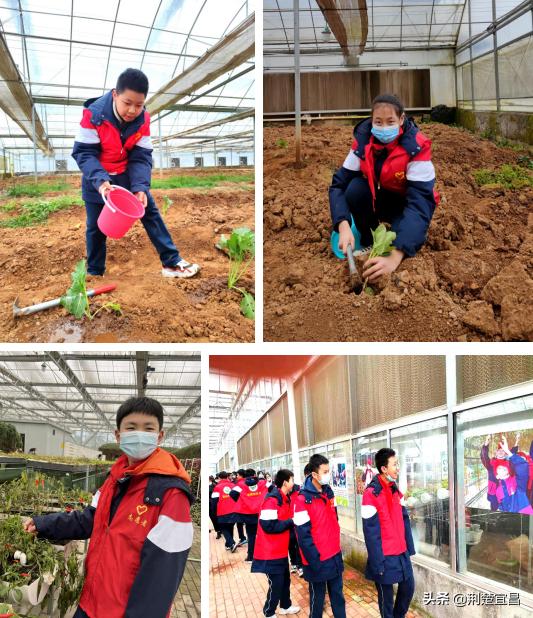 宜昌五中学校,五中教育实践活动