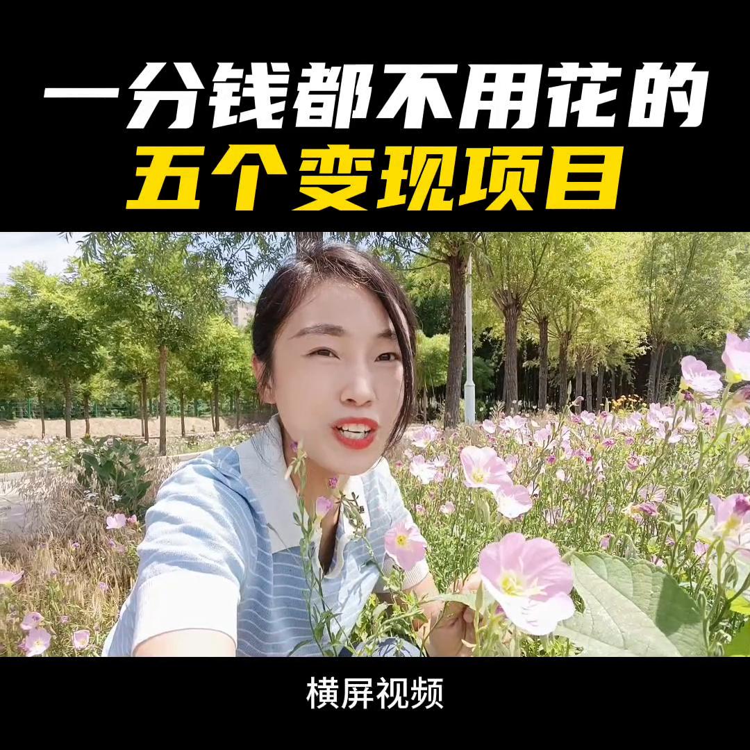 如何做创业型短视频项目,创业短视频干货教程热门项目