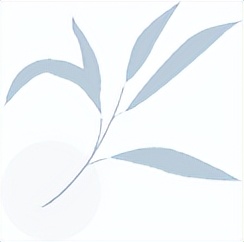 慢性疼痛理疗项目,慢性疼痛的新疗法