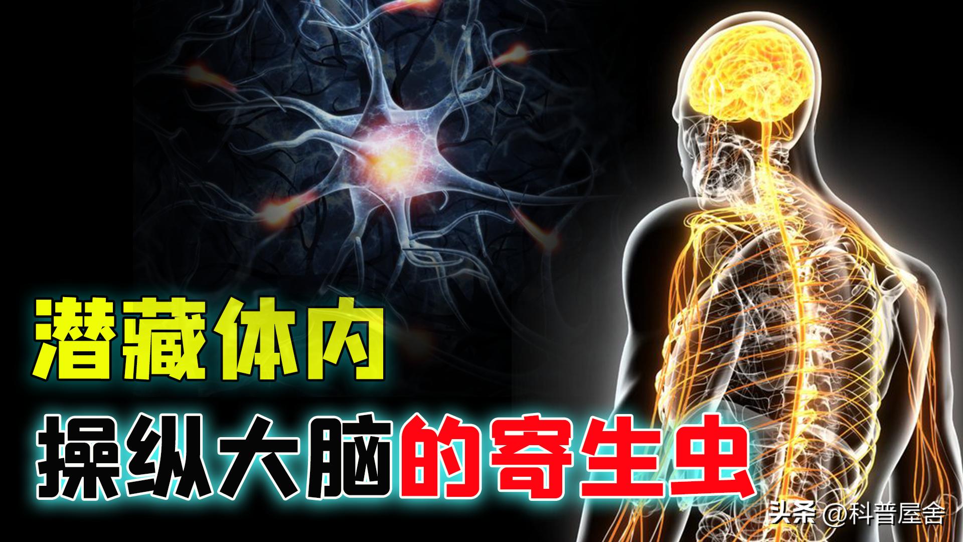 控制大脑的寄生怪物,控制宿主的恐怖生物