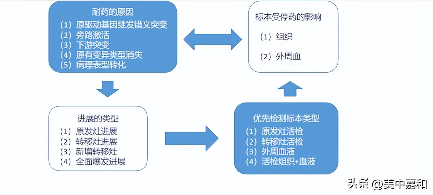 靶向药耐药后还需要做基因检测吗,靶向药耐药后基因检测概率多大