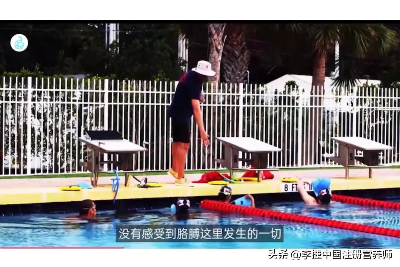 前游泳冠军谈自由泳技术,舒曼自由泳视频