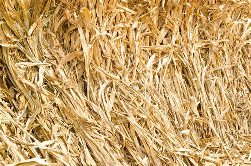 中国为什么不能烧秸秆,中国为什么可以烧柴