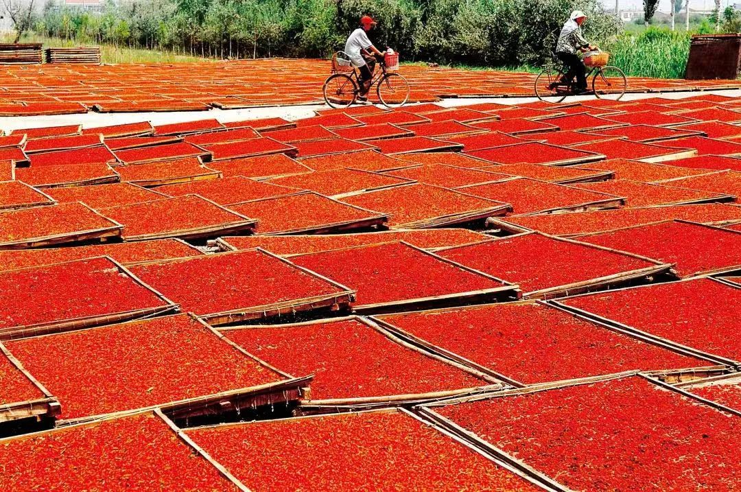 大西北旅游古老的文化底蕴,古老的信天游