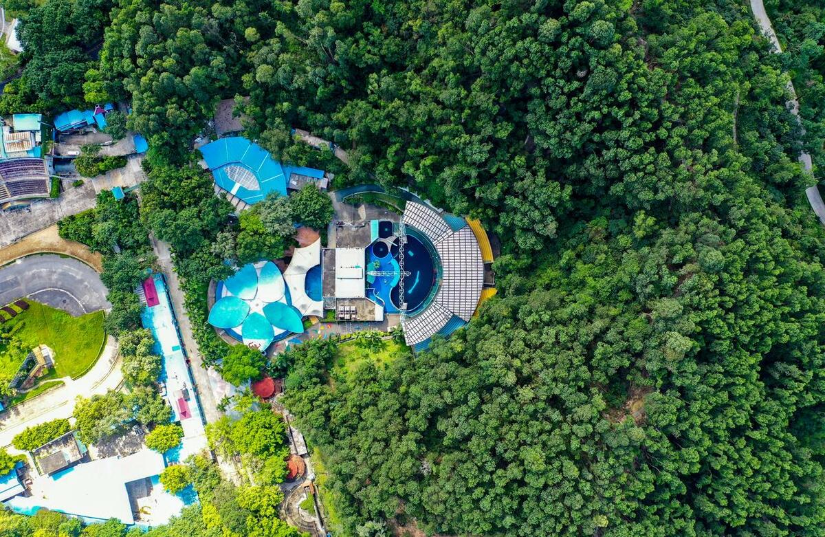 广东自驾必去十大景点,在广东最便宜的十大旅游景点