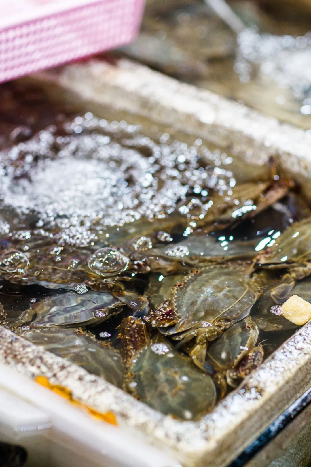 吃海鲜便宜的海边城市,国内哪个城市吃海鲜最好