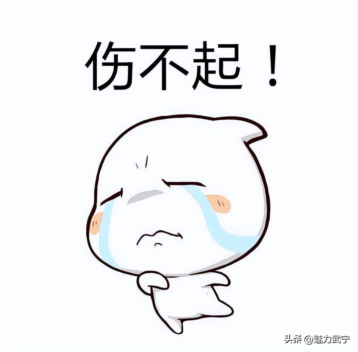 网络交易退款诈骗,网络退费诈骗案