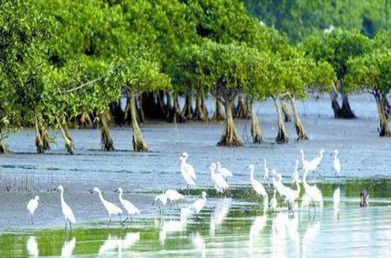 深圳哪有自助餐好吃又好玩,深圳发现的美景