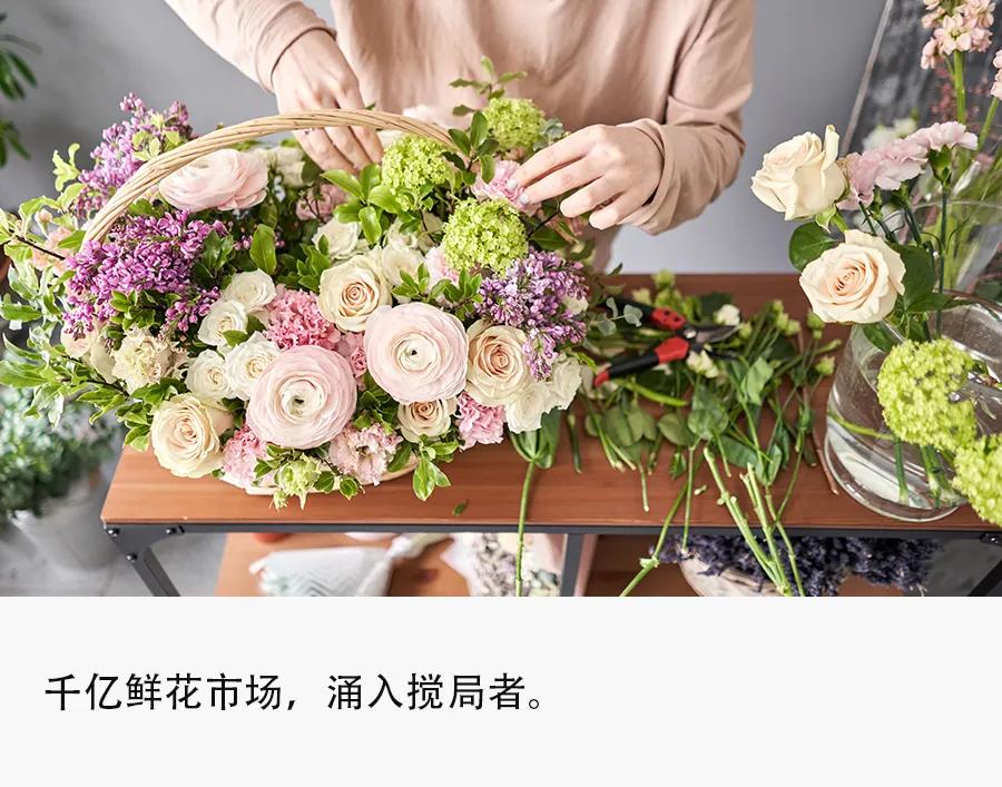 鲜花电商大洗牌：39元买一箱，价格战“卷”麻了
