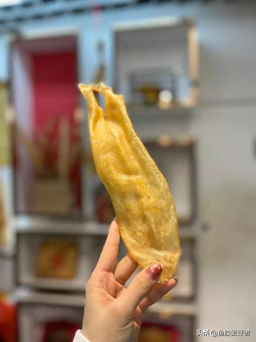 买什么鱼胶比较划算,1000元左右哪种鱼胶最好