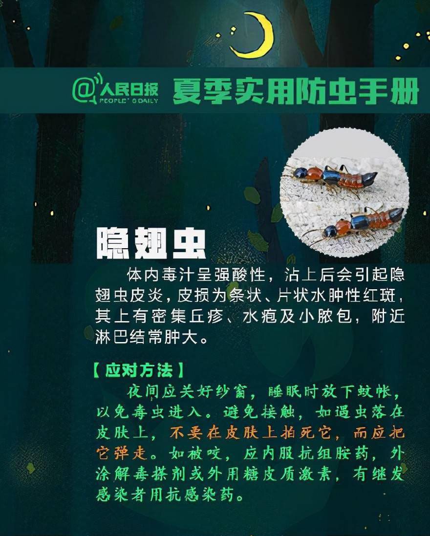 不咬人的虫子,不咬人的昆虫