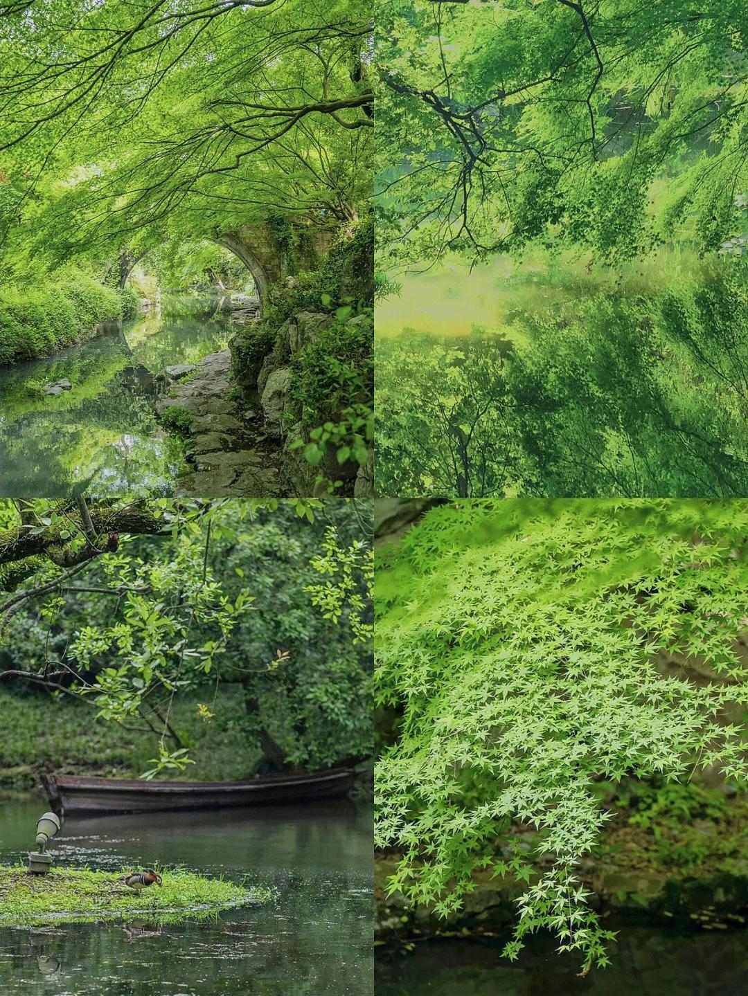 杭州西湖周边名胜景点,私藏杭州8个小众景点