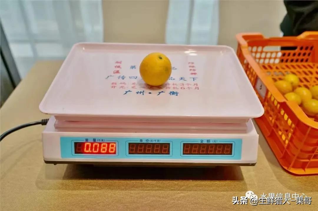 正宗广西融安脆蜜滑皮金桔,融安滑皮金桔和融安脆皮金桔区别