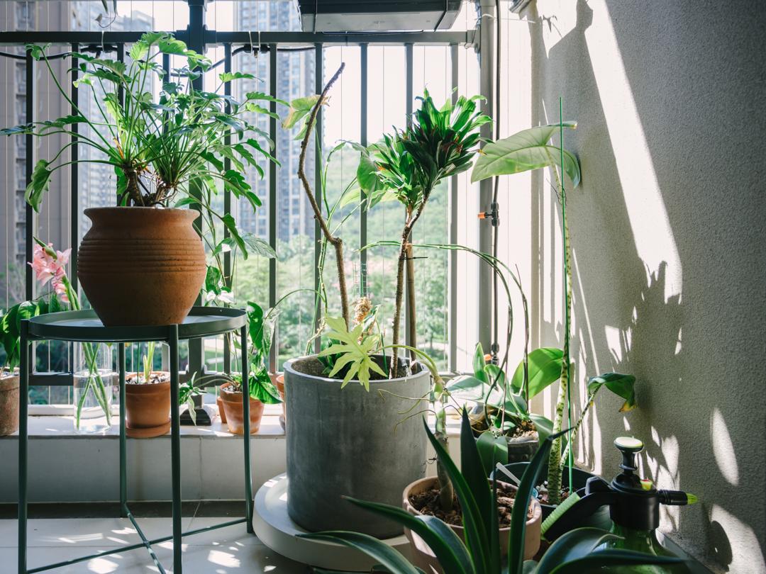 花3万元改造房子,情侣120平出租屋改造