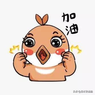 冷门国公立大学是个宝！日本读研合格前辈分享长崎大报考经历