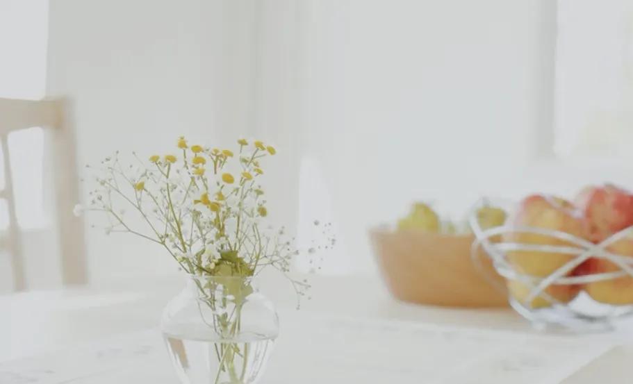 一家中古奢侈品店里的人生06集,一家中古奢侈品店里的人生08集