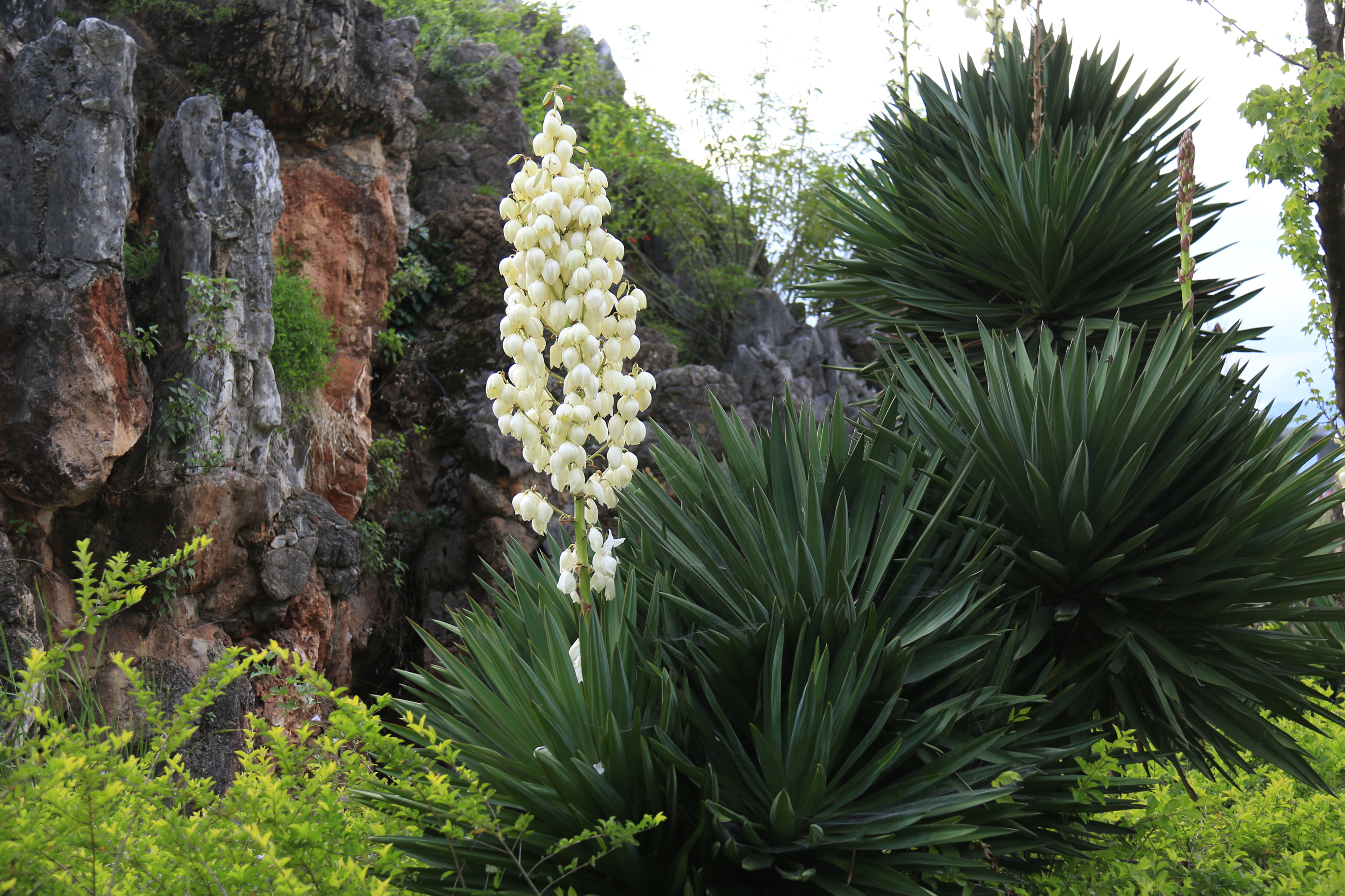 追忆“武测”暗房里冲洗照片的美好时光
