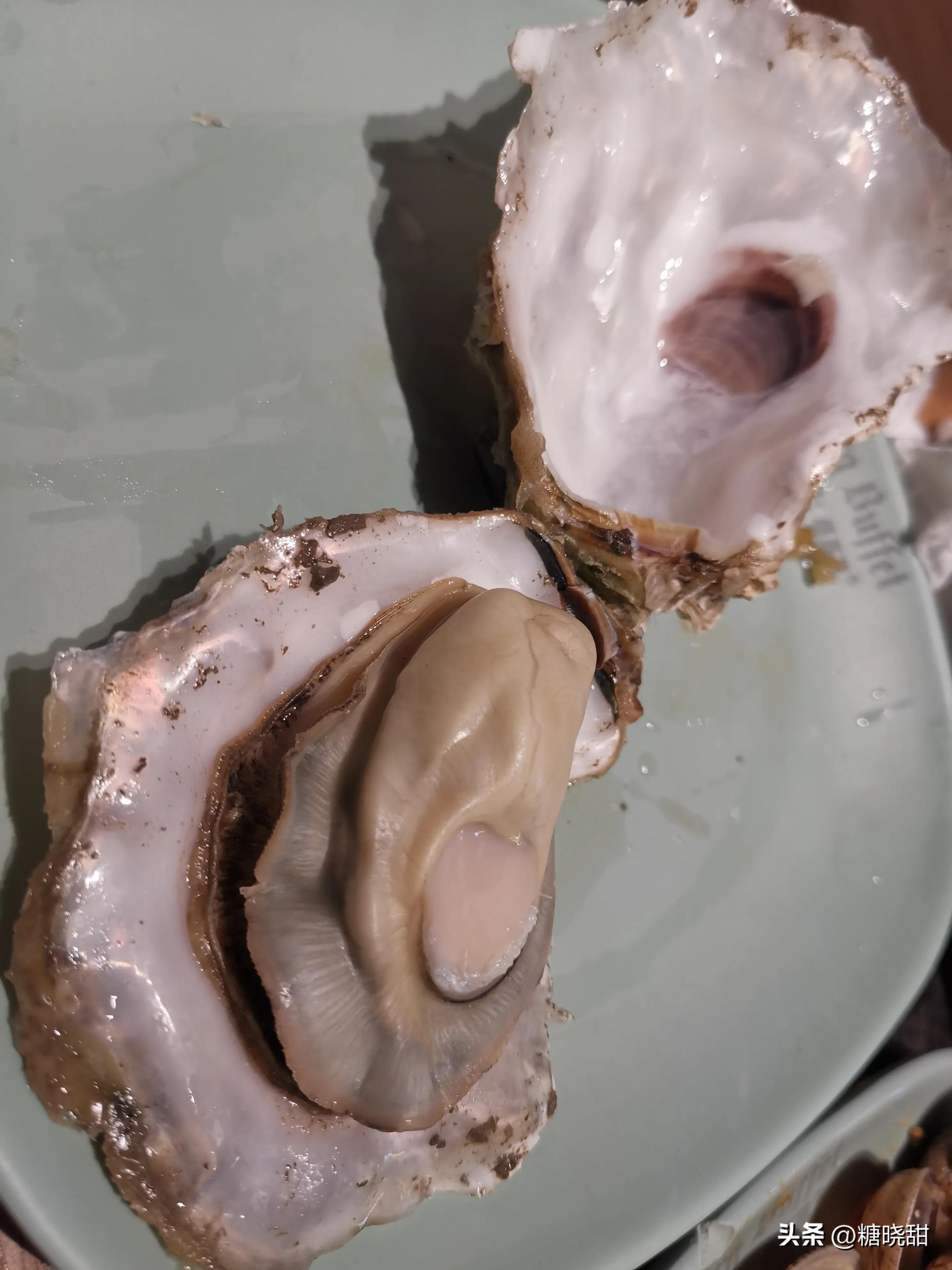 美食探店看着蒜蓉虾流口水,海鲜鲍鱼小龙虾螃蟹