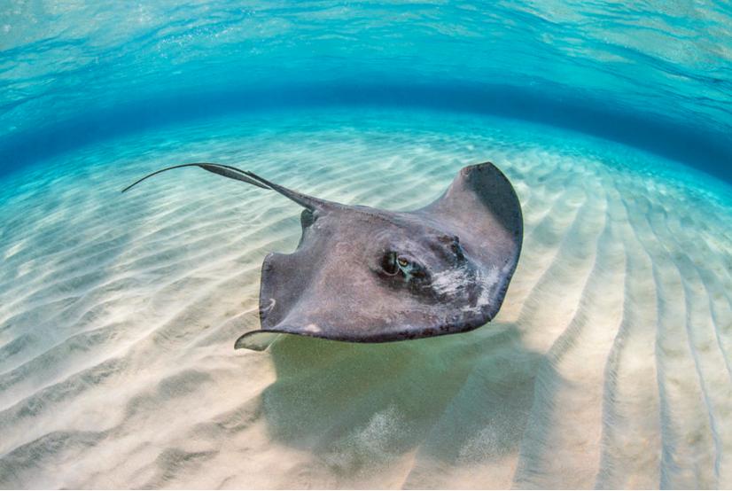 去神秘小岛探险,去神秘岛探险视频